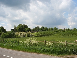 Little Meadow in May 2004