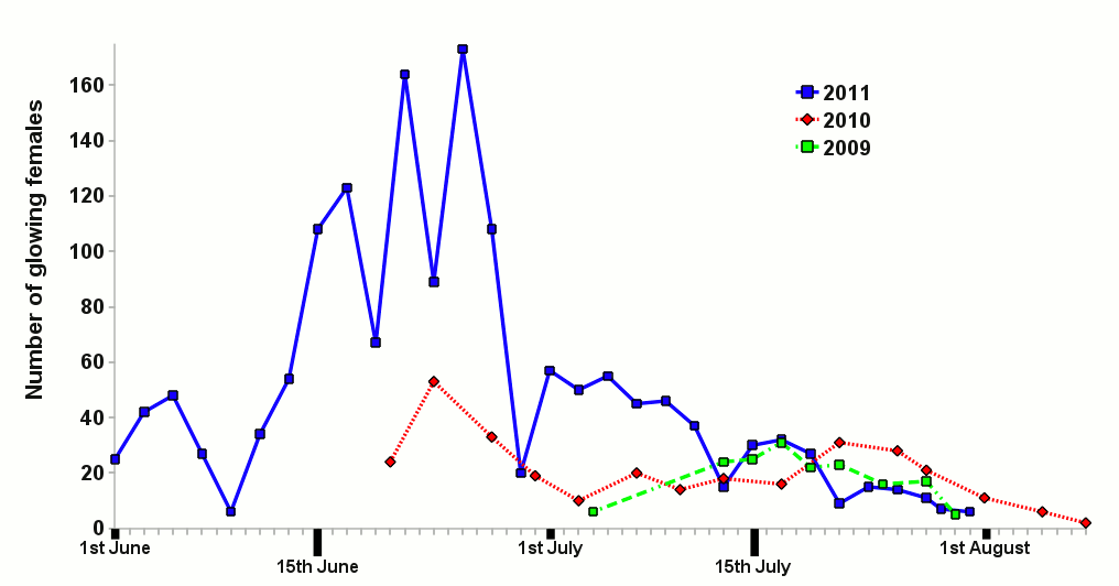 Graph of nightly counts of female glow-worms in St-Mary's churchyard, Overton
