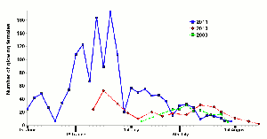 Numbers of glowing females recorded