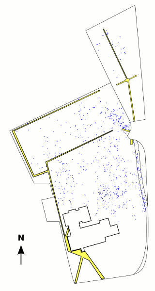 Distribution of glowing females throughout the site