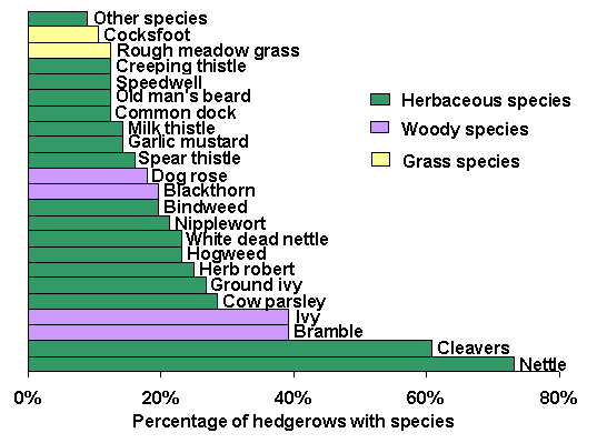 Bar graph of the frequency of species of the ground flora