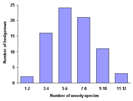 Bar graph of the number of woody species per hedgerow survey