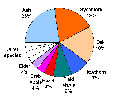 Pie chart of tree species