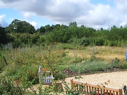 Little Meadow in summer 2007