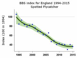 Spotted Flycatcher survey